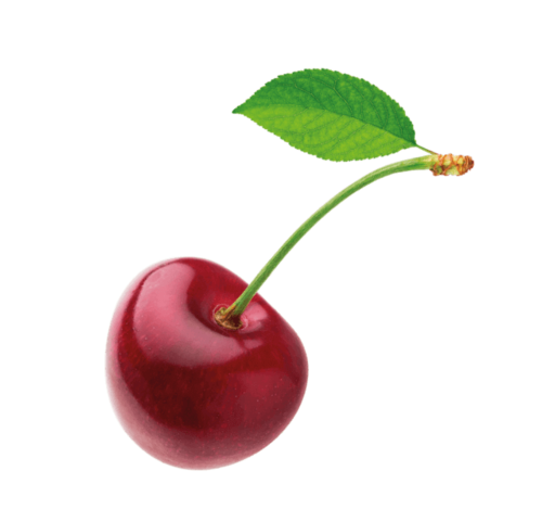 Frucht Kirsche
