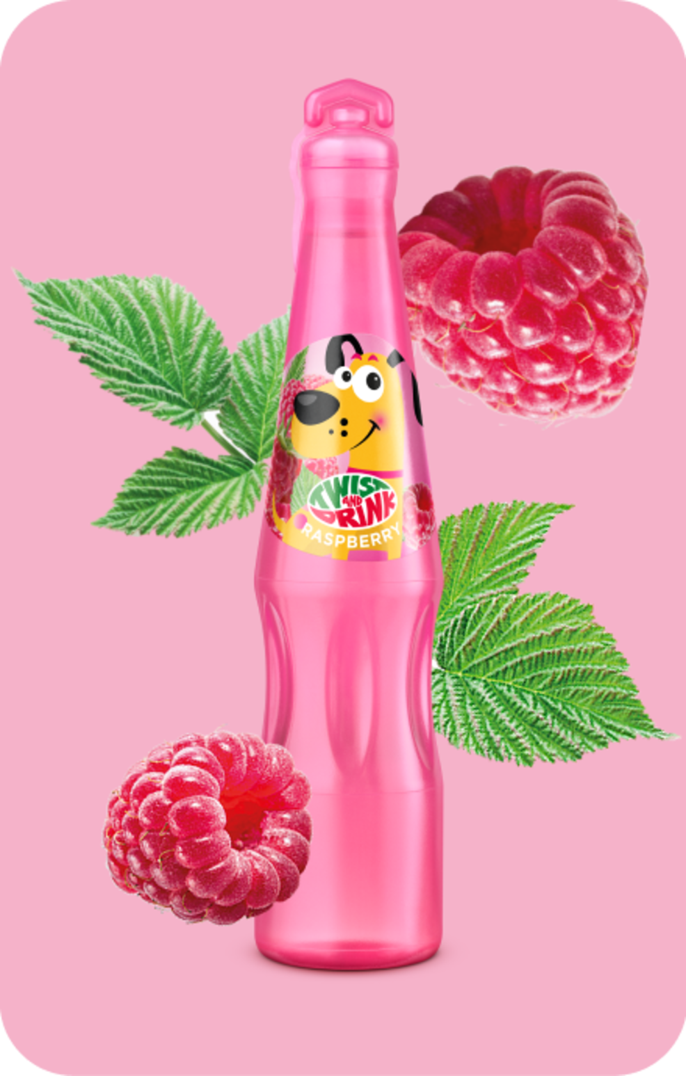 Raspberry