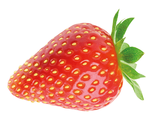 Frucht erdbeere