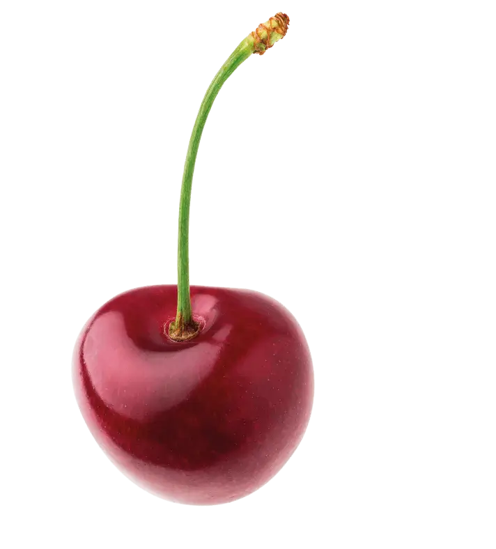 Frucht Kirsche