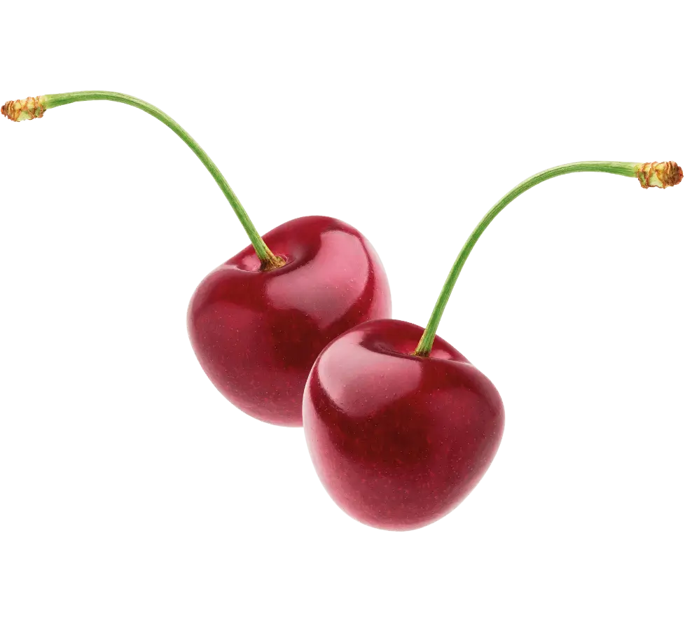 Frucht Kirsche
