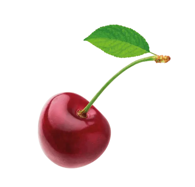 Frucht Kirsche
