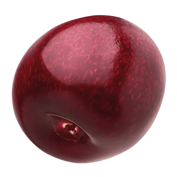 Frucht Kirsche
