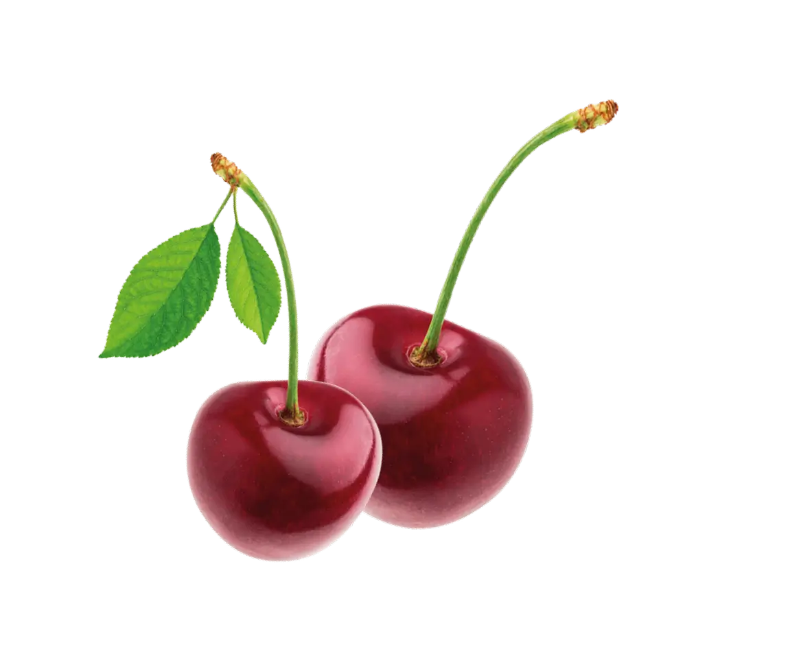 Frucht Kirsche