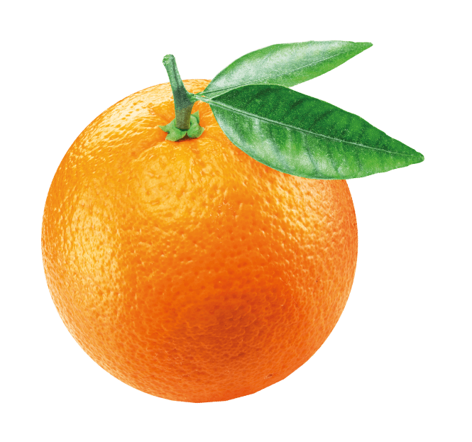 Frucht Orange