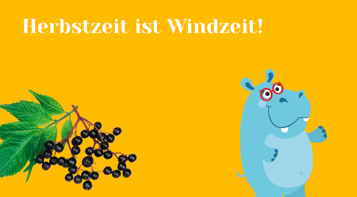 [Translate to English:] Herbstzeit ist Windzeit