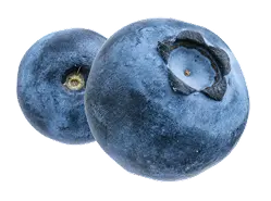 Frucht Heidelbeere