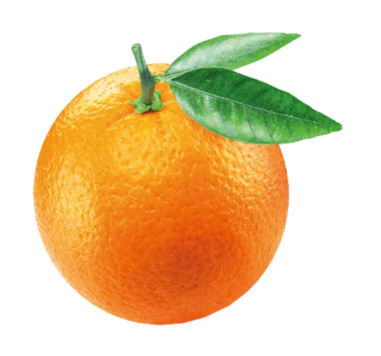 Frucht Orange