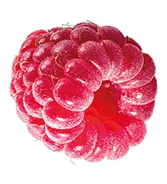 Fruit raspberry
