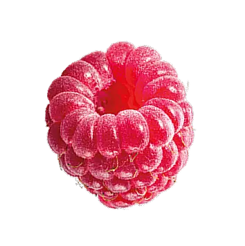 Fruit raspberry
