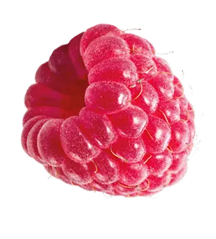 Fruit raspberry