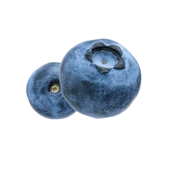 Frucht Waldbeere